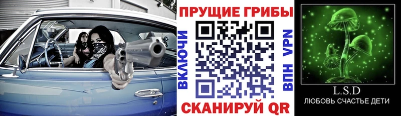 Псилоцибиновые грибы Cubensis Дмитриев